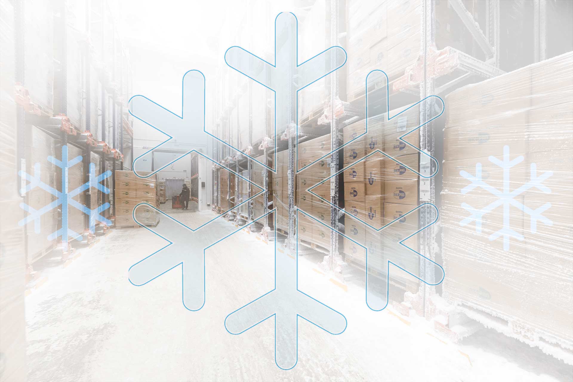Freezer warehouses for industrial frozen storage