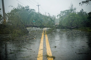 Any disruption can lead to an emergency situation for the supply chain Any disruption can lead to an emergency situation for the supply chain