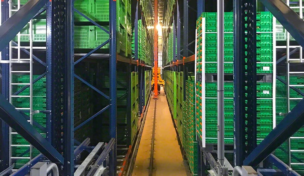 Kiwi Greensun’s automated warehouse in Portugal runs at a refrigerated temperature