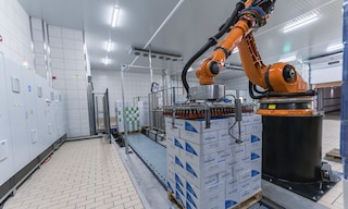 Warehouse robots: technology automates logistics