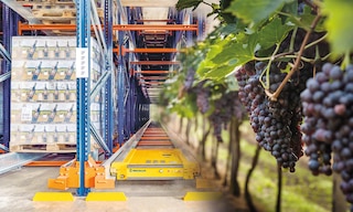 Automation increases efficiency and safety in wine warehousing Automation increases efficiency and safety in wine warehousing