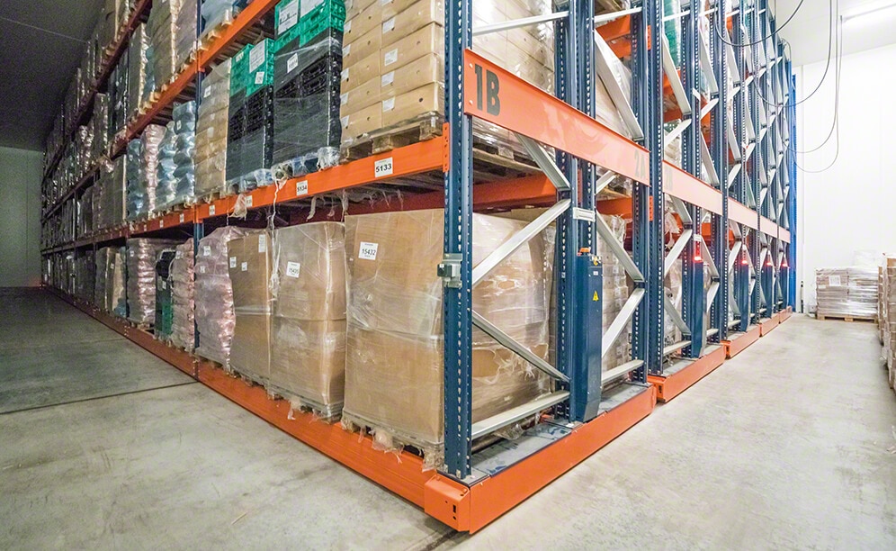 Mecalux equipped the new chamber with five double-depth racks on Movirack mobile bases and two stationary ones that are 8.8 m high
