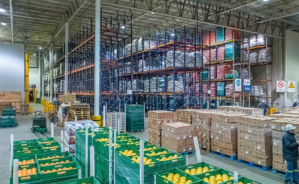 The new fresh fruit, vegetable and greens warehouse of Coto in Argentina