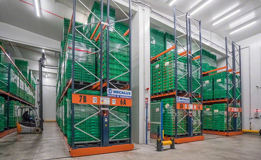 Sectored cold-storage warehouse of Grupo Alimentario Citrus