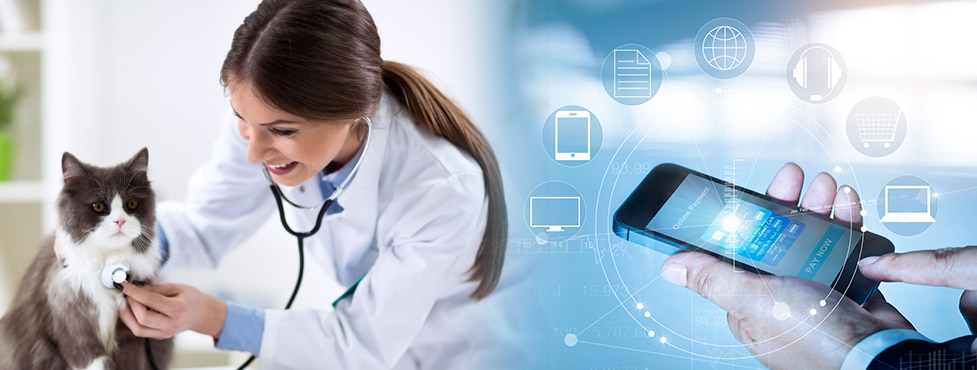 Samaniego upgrades Easy WMS with the Enterprise version Samaniego upgrades Easy WMS with the Enterprise version