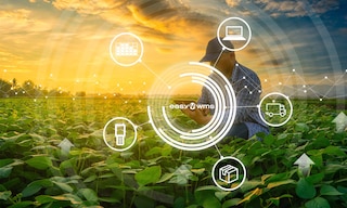 Gardening products manufacturer Planta to digitally transform its new warehouse Gardening products manufacturer Planta to digitally transform its new warehouse