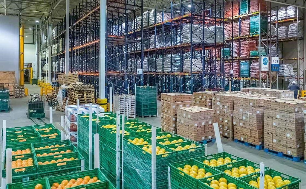 Fresh fruit warehouse. For the correct conservation of the fruit the cold chain must not be broken. Fresh fruit warehouse. For the correct conservation of the fruit the cold chain must not be broken.