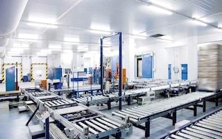 Which warehouse processes can be automated?