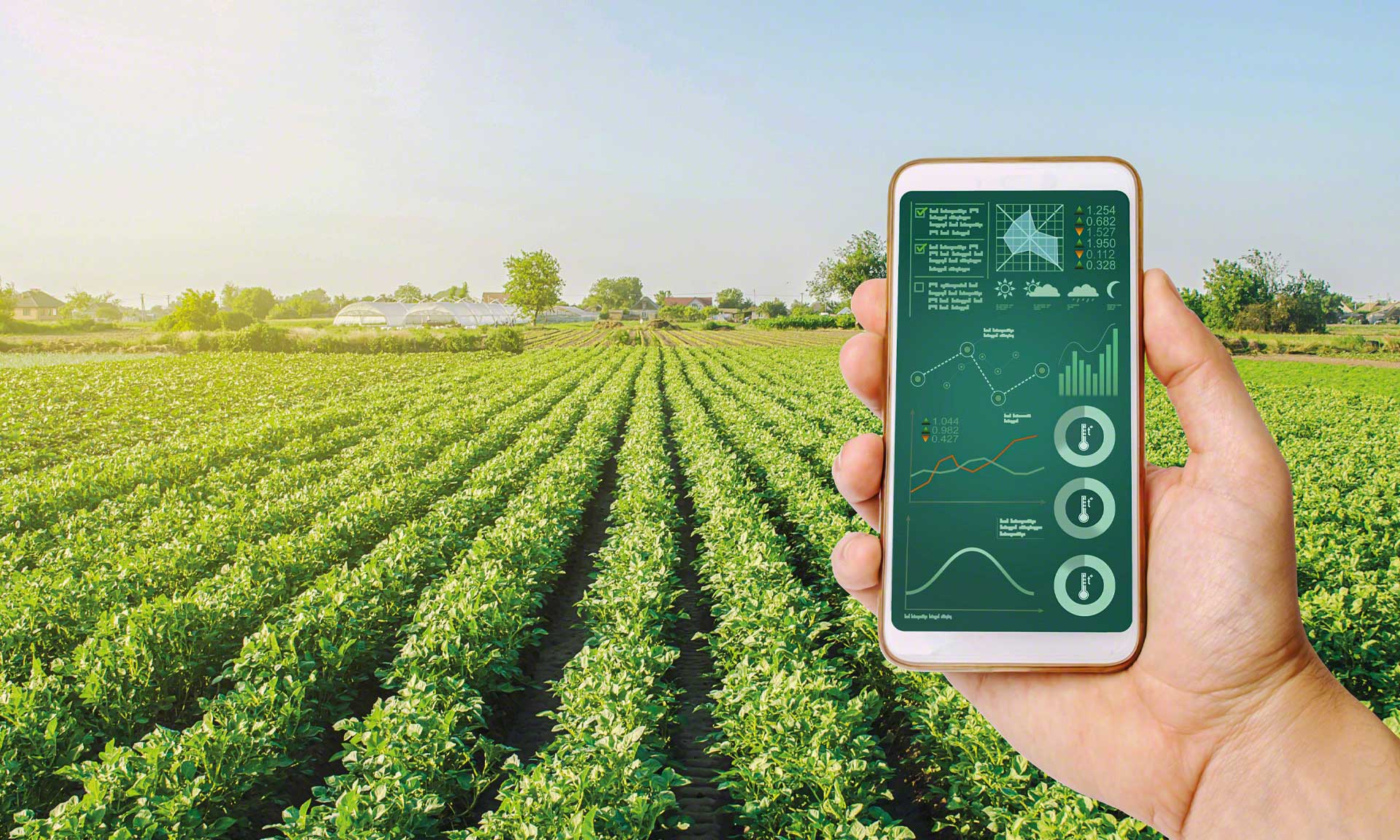 LT Distribution Europe controls food traceability LT Distribution Europe controls food traceability