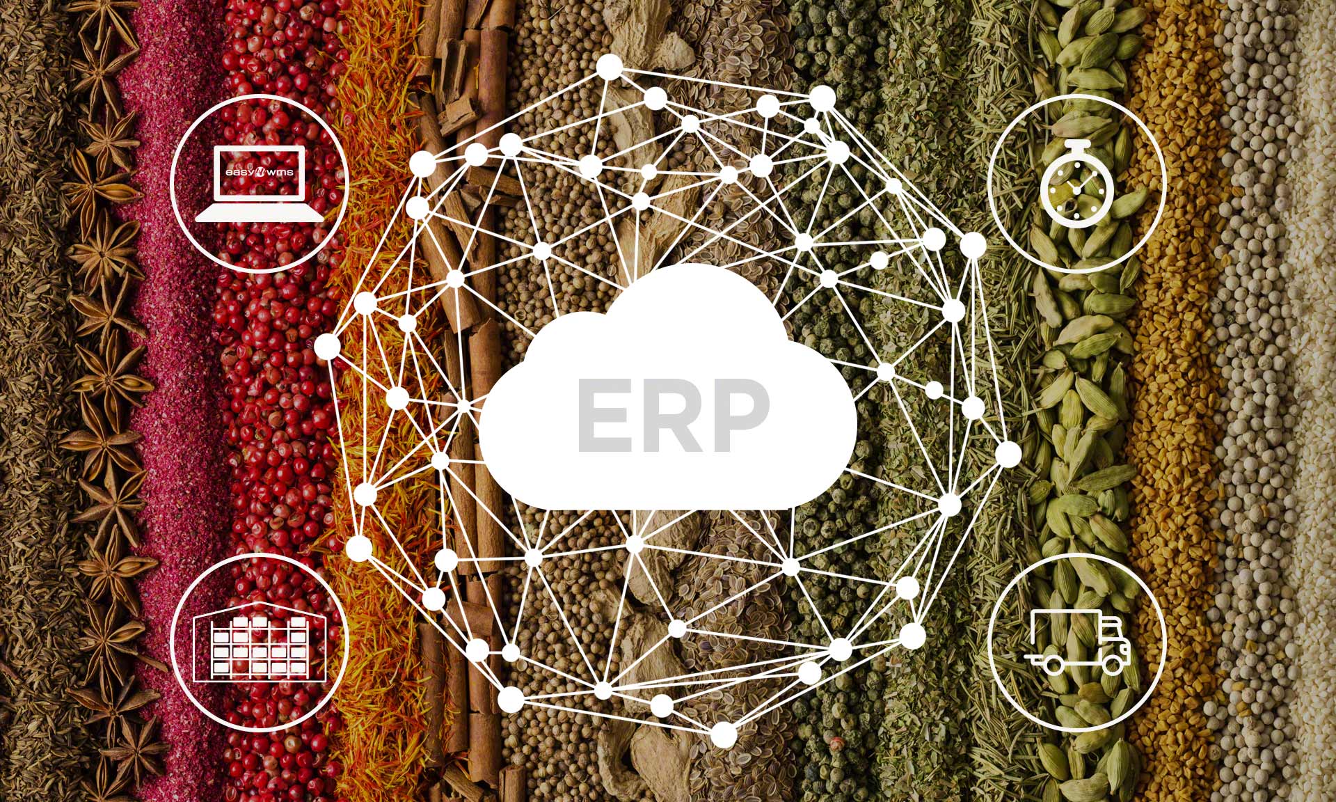 From manual to digital logistics management
