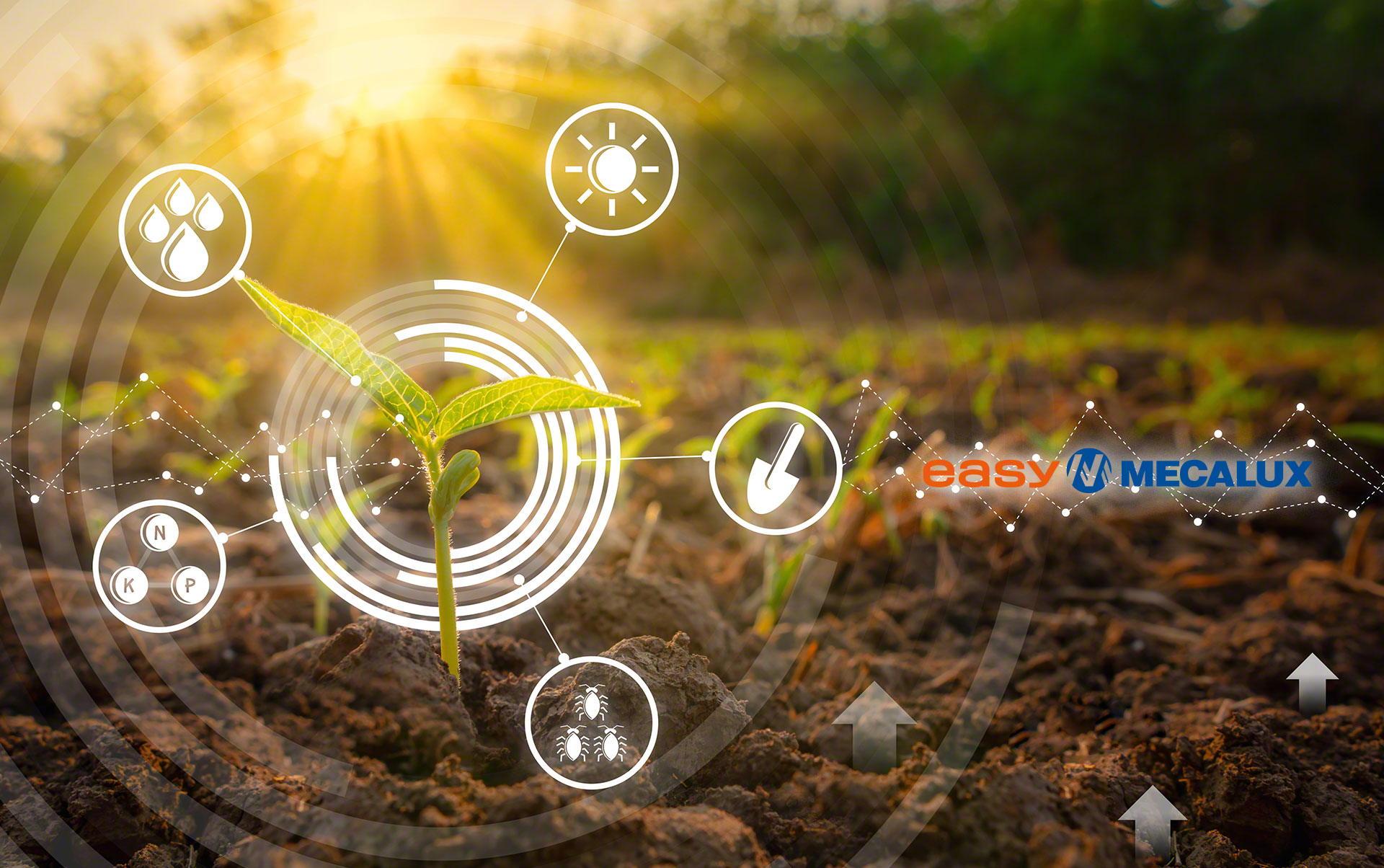 Lar: automated warehouse for frozen food