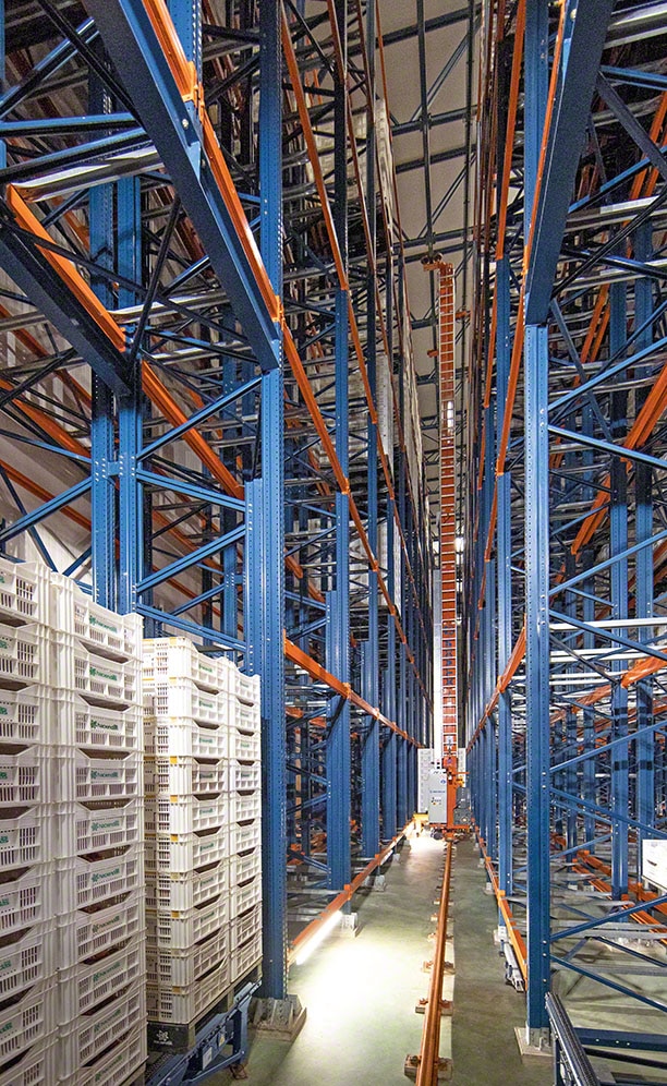 Hacienda La Albuera's automated fruit and vegetable warehouse in Guareña, Spain