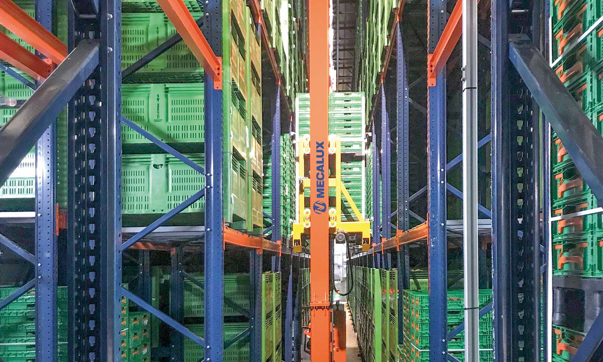 Kiwi Greensun: the perfect degree of ripeness for a cold storage warehouse