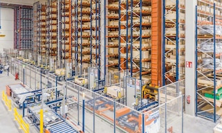 Logistics automation: the road to maximum efficiency