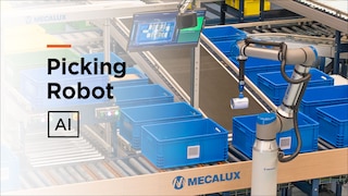 Robotic order picking system