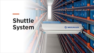 Automated shuttle system for high throughput distribution centres