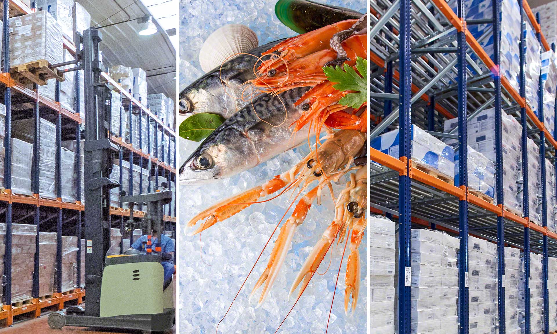 Rainforest Seafoods: quality and safety in freezer stores