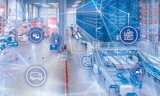 Warehouse areas: essential zones for efficient management