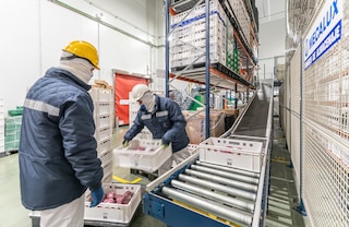 Conveyors can operate in warehouses with positive cold temperatures (from 0 °C)