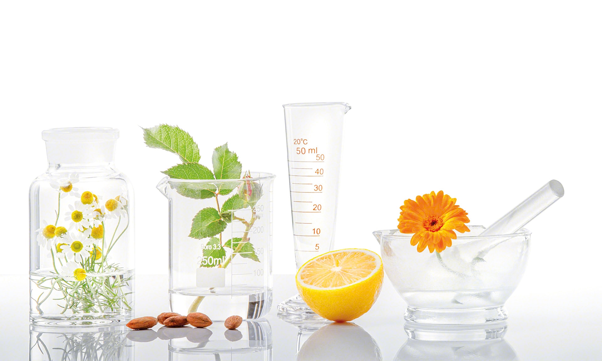 La Source digitalises its warehouse for natural dietary products with Easy WMS La Source digitalises its warehouse for natural dietary products with Easy WMS