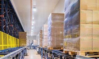 Bem Brasil manages 500,000 tonnes of frozen food with the Automated Pallet Shuttle