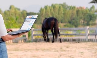 Agribusiness group Canagri boosts efficiency by upgrading its software with Easy WMS