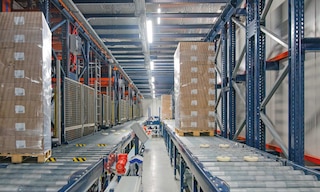 Leading Polish cold-chain 3PL Frigo Logistics embraces automation