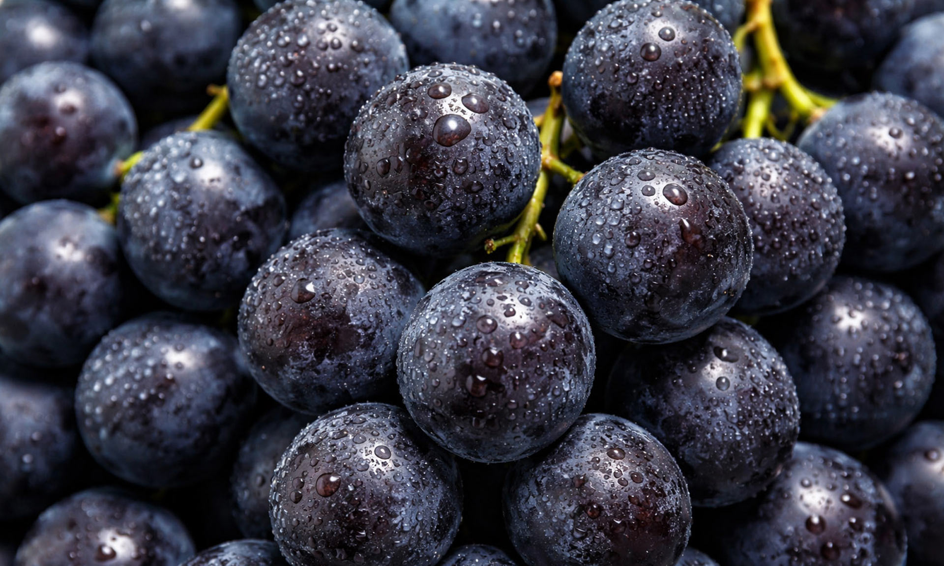 NRJ Wines supports growth and new 3PL services with Easy WMS