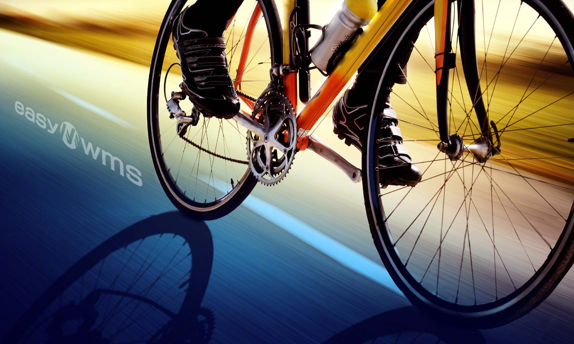 Easy WMS will manage the warehouse of bike manufacturer Denver
