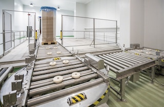 Pallet conveyor systems with a stainless-steel finish provide excellent corrosion resistance