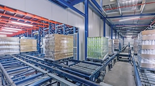 Pallet Conveyor Systems