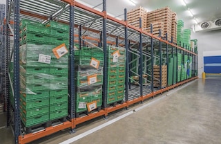 The push-back rack is ideal for freezer warehouses, as the carts are designed to withstand temperatures as low as -30 °C