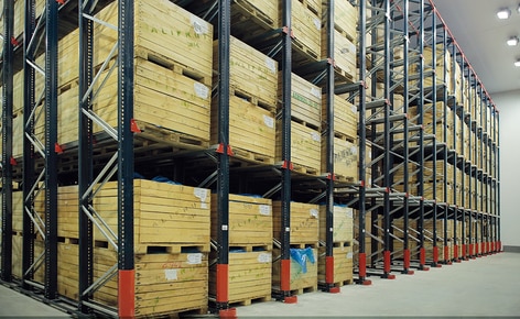 Mecalux has provided Alifrut with four blocks of drive-in pallet racking in its frozen storage chamber